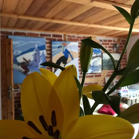 Domicil Alma Homestay szállás *