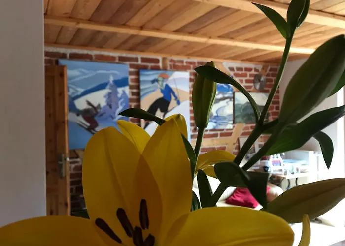 Domicil Alma Privatunterkunft *