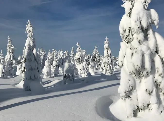 Privatunterkunft Domicil Alma *