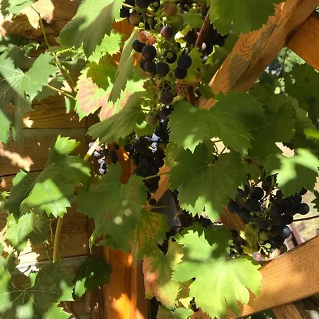 Domicil Alma Szklarska Poręba