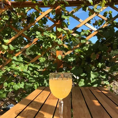 Accommodatie bij particulieren Domicil Alma *