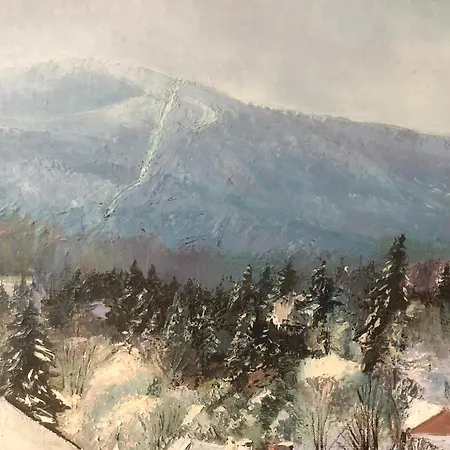 Domicil Alma Szklarska Poręba