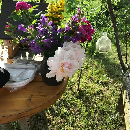 Accommodatie bij particulieren Domicil Alma Szklarska Poręba