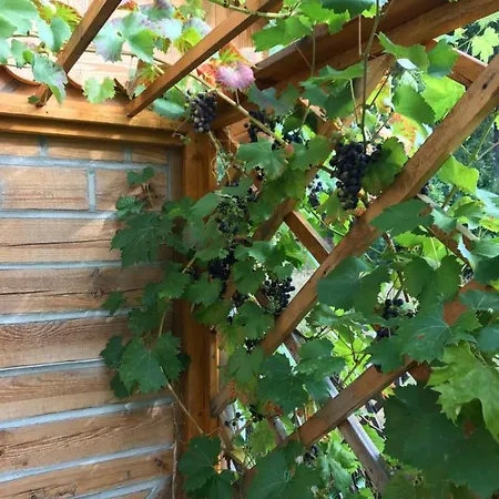 Domicil Alma * Szklarska Poręba