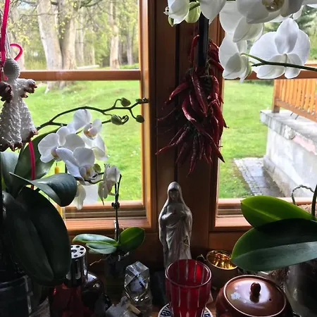 Domicil Alma Accommodatie bij particulieren Szklarska Poręba