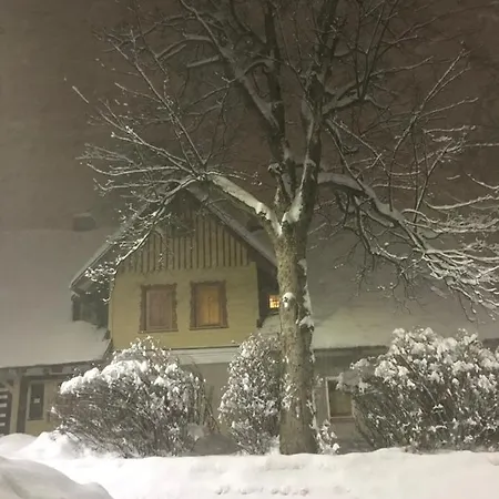 Domicil Alma Accommodatie bij particulieren *