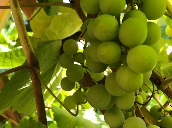 Ubytování v soukromí Domicil Alma Sklářská Poruba