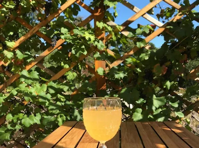 Ubytování v soukromí Domicil Alma *