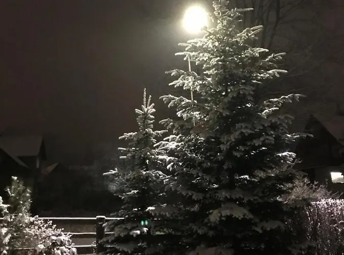 Ubytování v soukromí Domicil Alma *