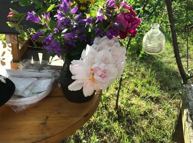 Homestay Domicil Alma Szklarska Poreba